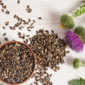 The Benefits of Taking Milk Thistle Everyday