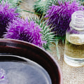 The Benefits of Milk Thistle: A Comprehensive Guide to its Detoxifying Effects