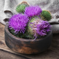 The Power of Milk Thistle: Separating Fact from Fiction