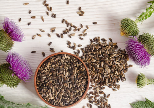 The Benefits of Taking Milk Thistle Everyday