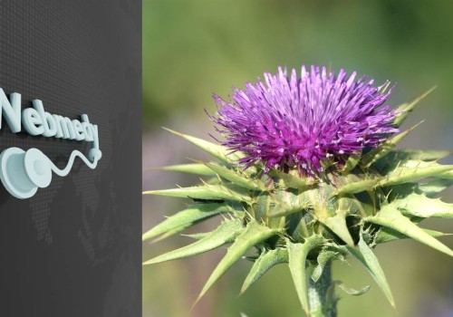 The Potential of Milk Thistle: Exploring Its Benefits for Liver Health and Beyond