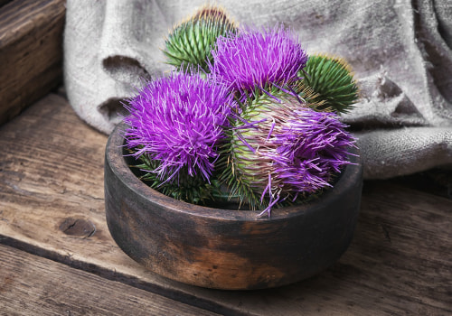 The Power of Milk Thistle: Separating Fact from Fiction